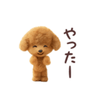 ▶︎踊る！トイプードル（個別スタンプ：7）