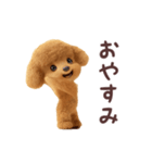 ▶︎踊る！トイプードル（個別スタンプ：10）