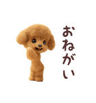 ▶︎踊る！トイプードル（個別スタンプ：15）
