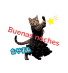 FLANYANKCO.com（個別スタンプ：5）