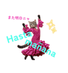 FLANYANKCO.com（個別スタンプ：10）