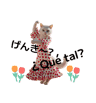 FLANYANKCO.com（個別スタンプ：15）