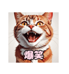 表情ゆたか！ねこスタンプ（個別スタンプ：5）