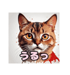 表情ゆたか！ねこスタンプ（個別スタンプ：13）
