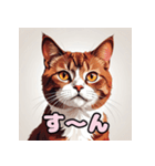 表情ゆたか！ねこスタンプ（個別スタンプ：15）