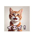 表情ゆたか！ねこスタンプ（個別スタンプ：16）