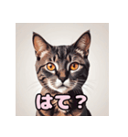 表情ゆたか！ねこスタンプ（個別スタンプ：20）