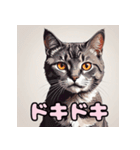 表情ゆたか！ねこスタンプ（個別スタンプ：28）