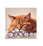 表情ゆたか！ねこスタンプ（個別スタンプ：29）