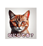 表情ゆたか！ねこスタンプ（個別スタンプ：34）