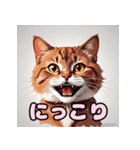 表情ゆたか！ねこスタンプ（個別スタンプ：39）