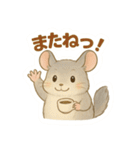 純喫茶を嗜むチンチラのかわいいスタンプ（個別スタンプ：16）