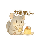 純喫茶を嗜むチンチラのかわいいスタンプ（個別スタンプ：19）