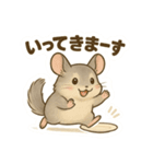 純喫茶を嗜むチンチラのかわいいスタンプ（個別スタンプ：21）