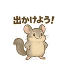純喫茶を嗜むチンチラのかわいいスタンプ（個別スタンプ：22）