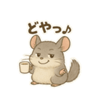 純喫茶を嗜むチンチラのかわいいスタンプ（個別スタンプ：25）