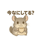 純喫茶を嗜むチンチラのかわいいスタンプ（個別スタンプ：28）