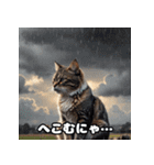 にゃんころモード 1（個別スタンプ：13）