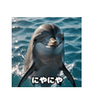 表情ゆたかイルカ（個別スタンプ：1）