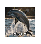 表情ゆたかイルカ（個別スタンプ：2）