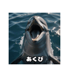 表情ゆたかイルカ（個別スタンプ：5）