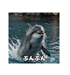 表情ゆたかイルカ（個別スタンプ：12）