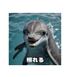 表情ゆたかイルカ（個別スタンプ：16）