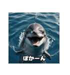 表情ゆたかイルカ（個別スタンプ：19）