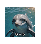 表情ゆたかイルカ（個別スタンプ：21）