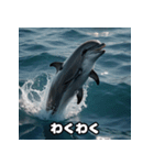 表情ゆたかイルカ（個別スタンプ：22）