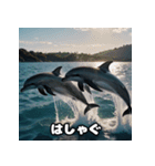 表情ゆたかイルカ（個別スタンプ：36）