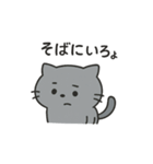 ひねくれネコのシャーくん（個別スタンプ：11）