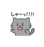 ひねくれネコのシャーくん（個別スタンプ：13）