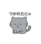 ひねくれネコのシャーくん（個別スタンプ：19）
