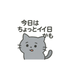 ひねくれネコのシャーくん（個別スタンプ：21）