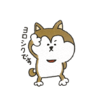 柴犬のマッキーちゃん（個別スタンプ：3）