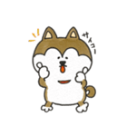 柴犬のマッキーちゃん（個別スタンプ：4）