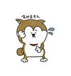 柴犬のマッキーちゃん（個別スタンプ：9）
