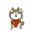 柴犬のマッキーちゃん（個別スタンプ：15）