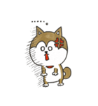 柴犬のマッキーちゃん（個別スタンプ：19）