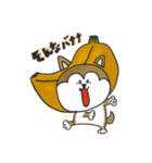 柴犬のマッキーちゃん（個別スタンプ：23）
