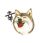 柴犬のマッキーちゃん（個別スタンプ：24）