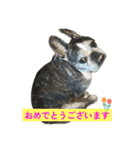 エルメの色々（個別スタンプ：9）