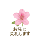 お花で ひとこと（個別スタンプ：1）