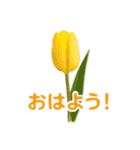 お花で ひとこと（個別スタンプ：2）