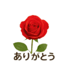 お花で ひとこと（個別スタンプ：3）