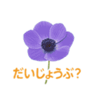 お花で ひとこと（個別スタンプ：6）