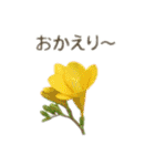 お花で ひとこと（個別スタンプ：11）