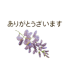 お花で ひとこと（個別スタンプ：12）