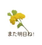 お花で ひとこと（個別スタンプ：14）